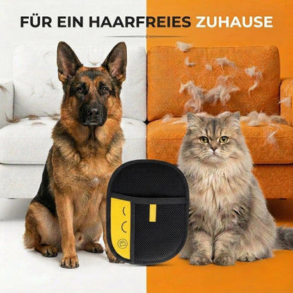 👑 49 % RABATT! ❄️ Der revolutionäre Handschuh für ein haarfreies Zuhause