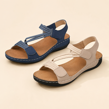 Blue & Beige